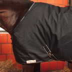 Couverture d'écurie Dominick 350 gr