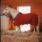 Couverture Séchante et Polaire Cosy Dominick