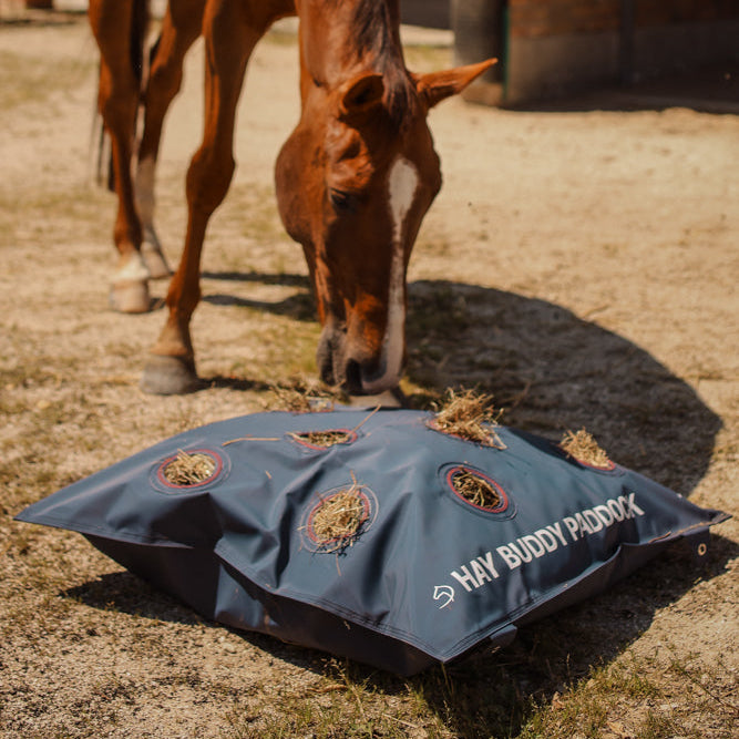 Hay Buddy Paddock Dominick