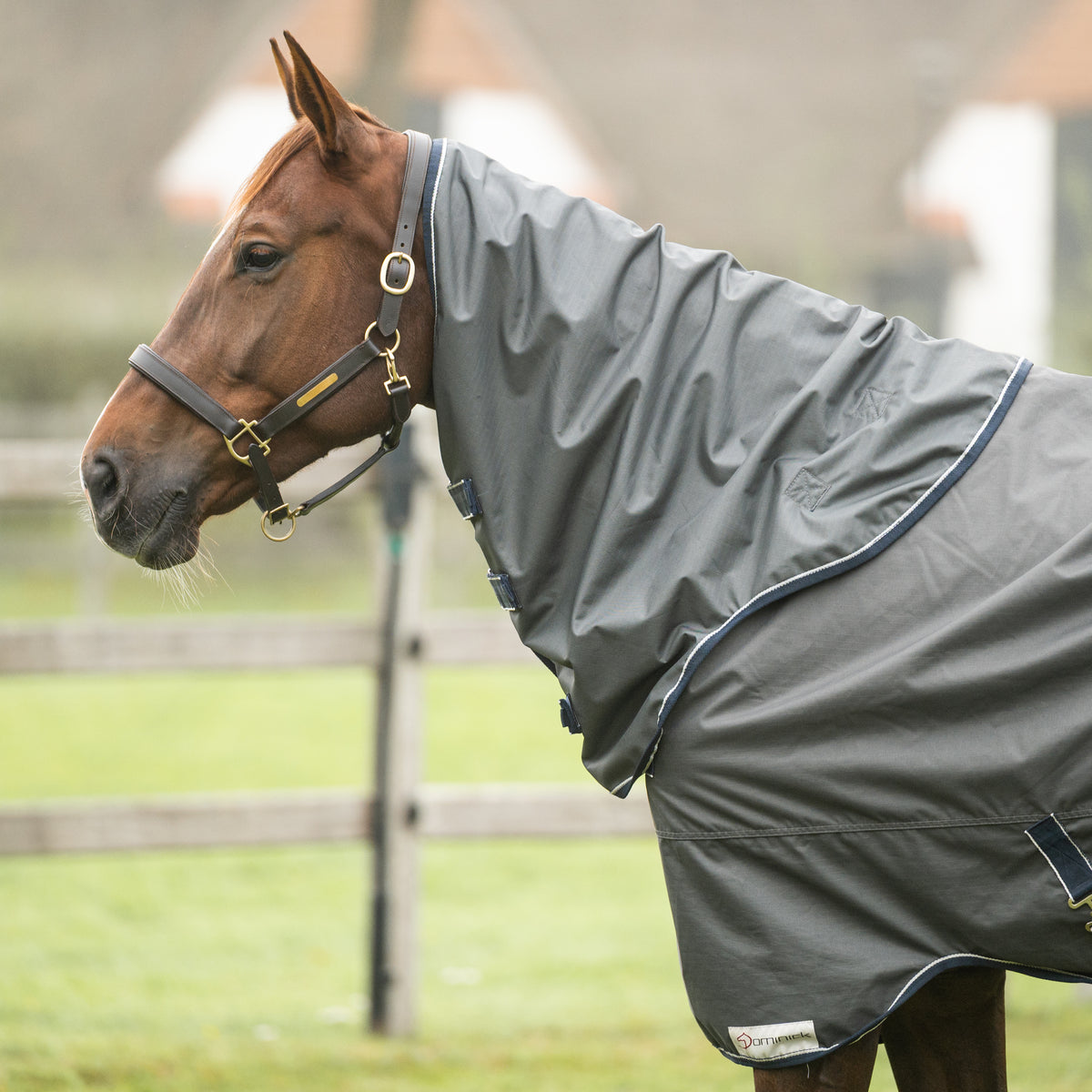 Dominick Halsdeel 600D 0 g