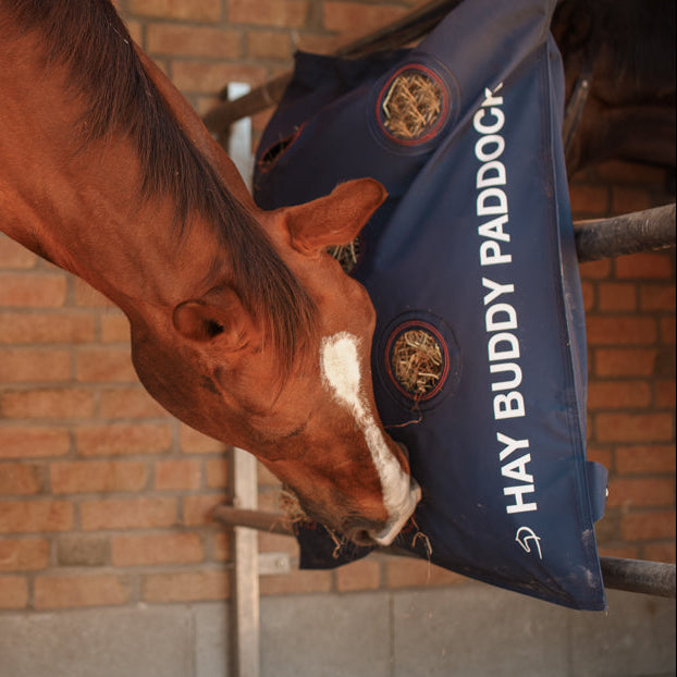 Hay Buddy Paddock Dominick