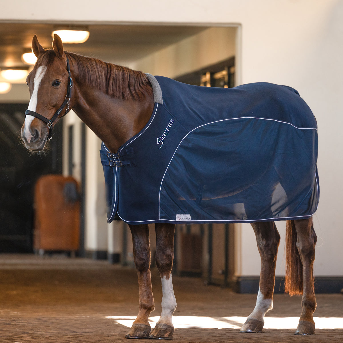 Dominick Mesh Cosy Combi Cooler