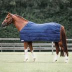 Liner Dominick 400GR