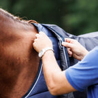 Liner Dominick 400GR