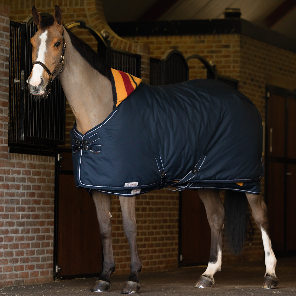 Couverture d'écurie Dominick 200 gr