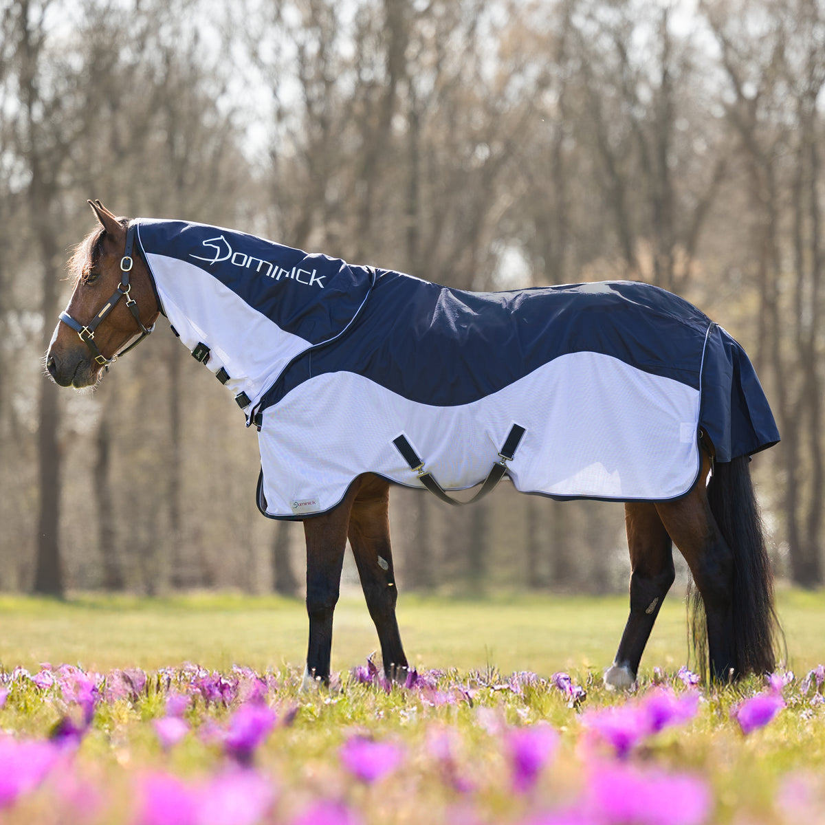 Dominick Vliegendeken Waterdicht Summer Vibes