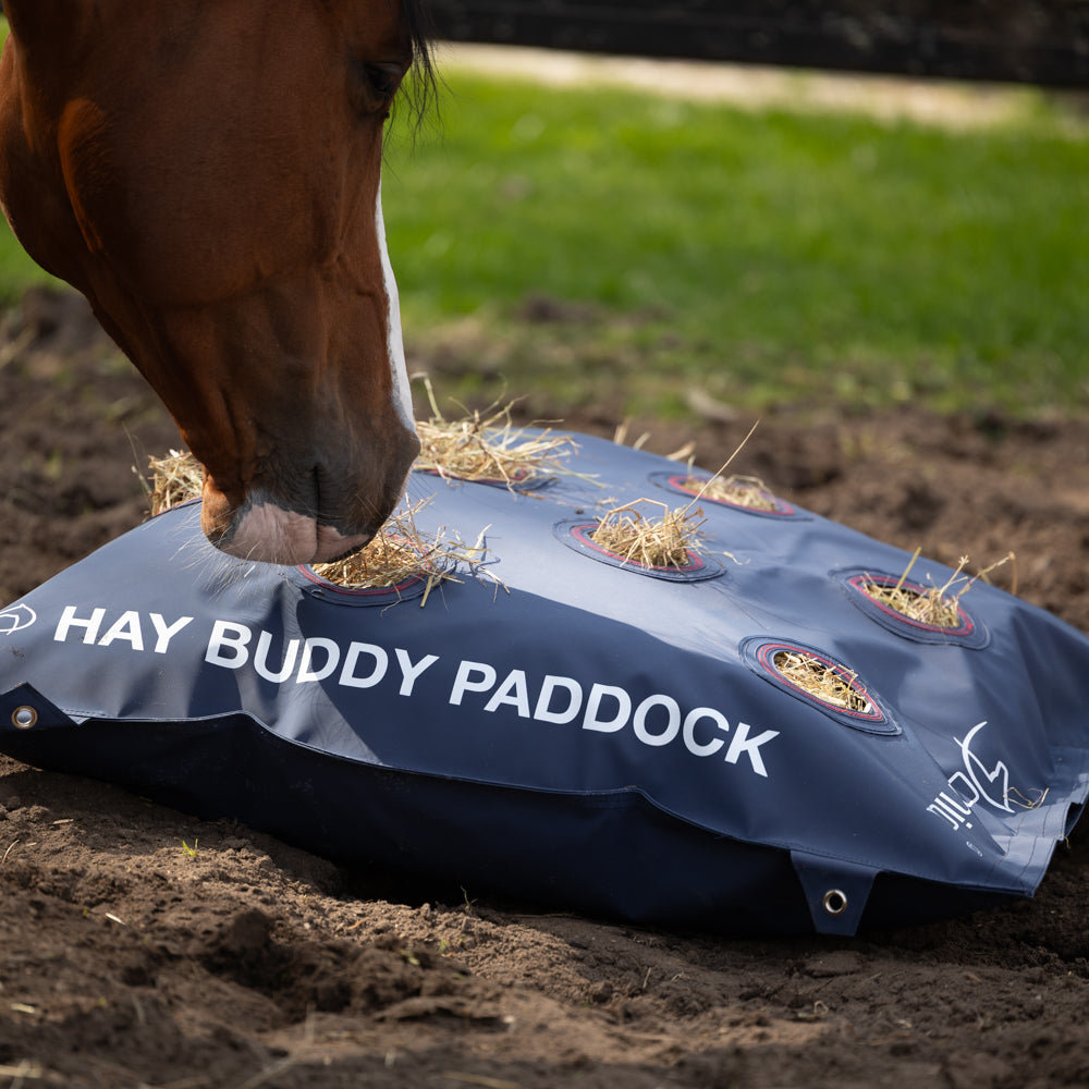 Hay Buddy Paddock Dominick